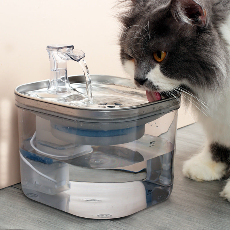 Fontaine à eau chat — détail du plateau inox 304