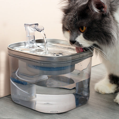 Fontaine à eau chat — détail du plateau inox 304